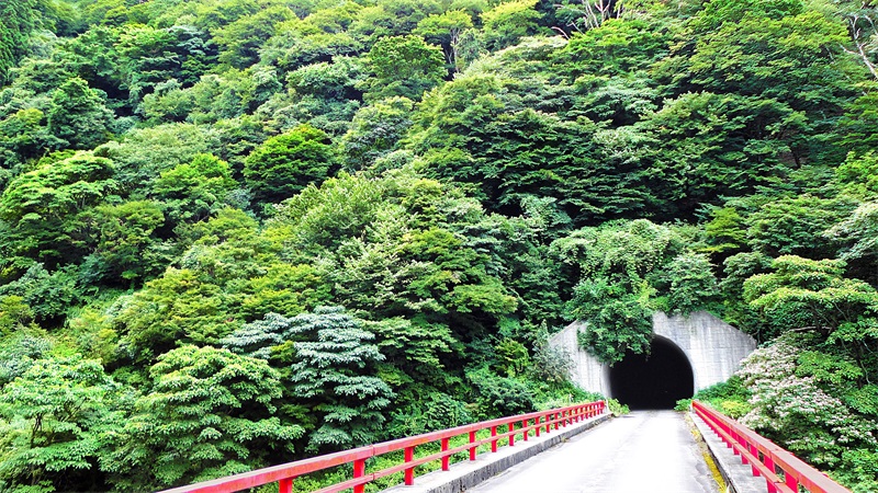 对高速公路景观绿化工程施工，监理应注意什么？
