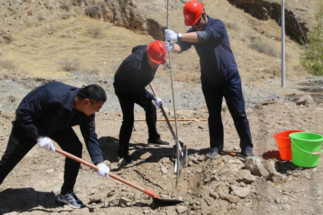 西藏公司2000亩绿树贡献“拉萨南北山绿化工程”